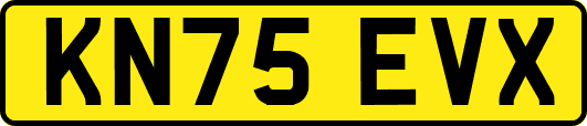 KN75EVX