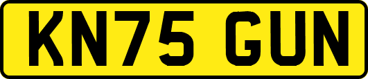 KN75GUN