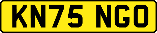 KN75NGO