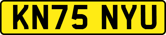 KN75NYU