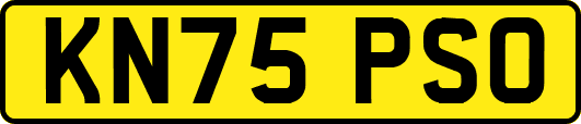 KN75PSO