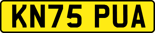KN75PUA