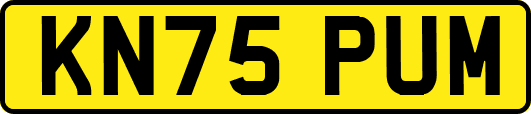 KN75PUM