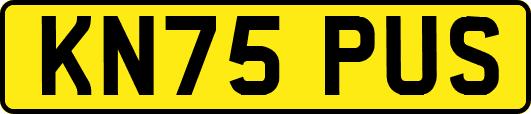 KN75PUS
