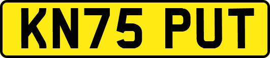KN75PUT