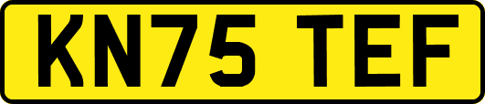 KN75TEF