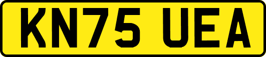 KN75UEA