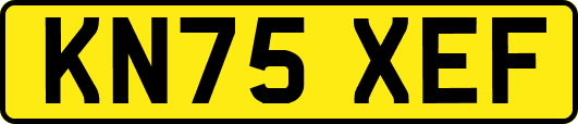 KN75XEF