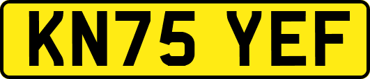 KN75YEF