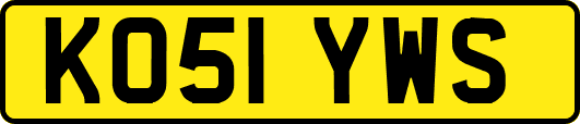 KO51YWS