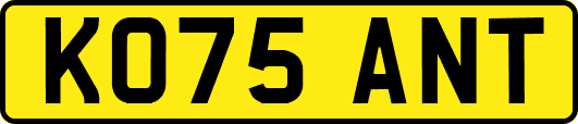 KO75ANT