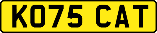 KO75CAT