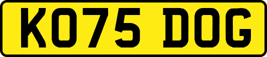 KO75DOG