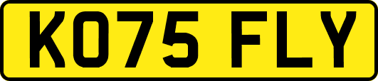 KO75FLY