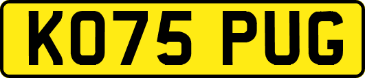 KO75PUG