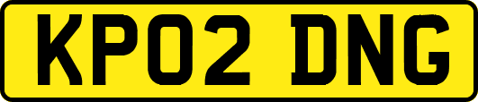 KP02DNG