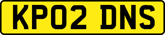 KP02DNS
