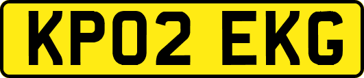 KP02EKG