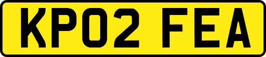 KP02FEA