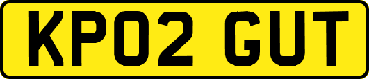 KP02GUT
