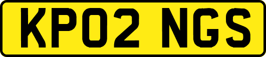 KP02NGS