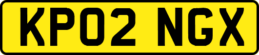 KP02NGX