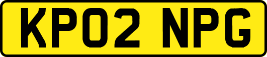 KP02NPG