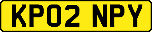 KP02NPY