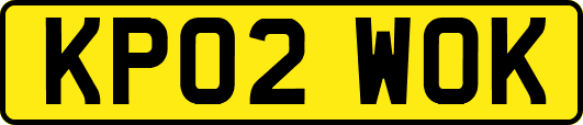 KP02WOK