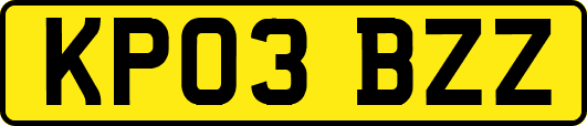 KP03BZZ