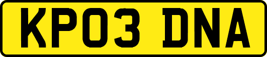 KP03DNA