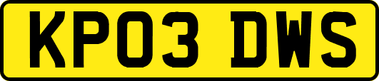 KP03DWS