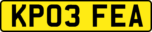KP03FEA