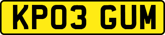 KP03GUM