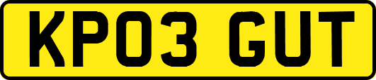 KP03GUT