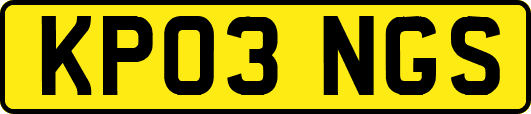 KP03NGS