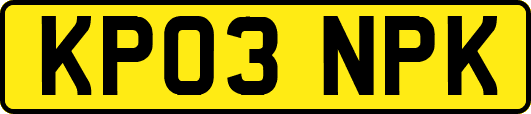 KP03NPK