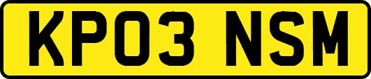 KP03NSM