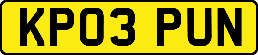 KP03PUN