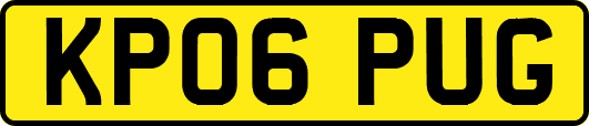 KP06PUG