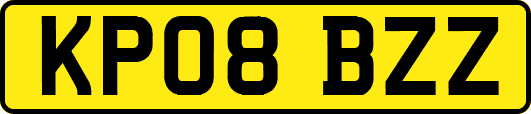 KP08BZZ