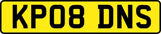 KP08DNS