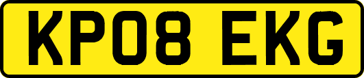 KP08EKG