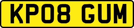 KP08GUM