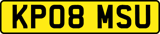 KP08MSU