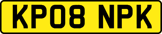 KP08NPK