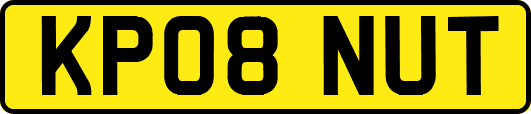 KP08NUT