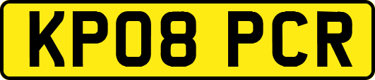 KP08PCR