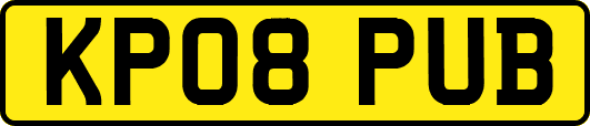 KP08PUB