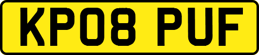 KP08PUF